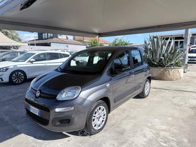 Fiat Panda Easy Grigio usata Giugliano in Campania