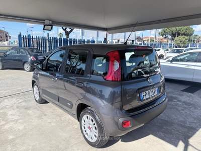 Fiat Panda Easy Grigio usata Giugliano in Campania