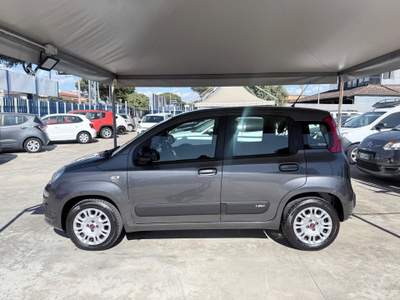 Fiat Panda Easy Grigio usata Giugliano in Campania