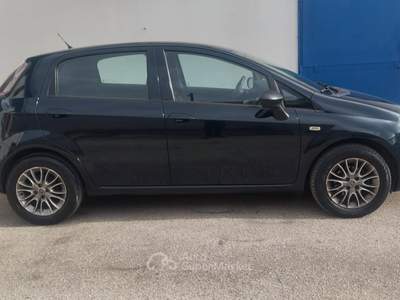 Fiat Punto Evo 1.3 Mjt 75 CV DPF 5 porte S&S Active Nero usata Modugno