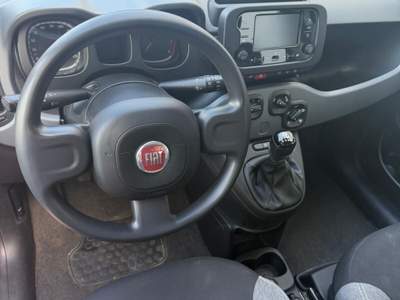 Fiat Panda FireFly S&S Hybrid City Life Grigio usata Roma