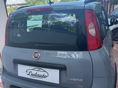 Fiat Panda FireFly S&S Hybrid City Life Grigio usata Roma
