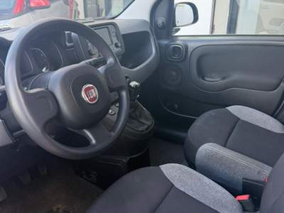 Fiat Panda FireFly S&S Hybrid City Life Grigio usata Roma