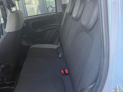 Fiat Panda FireFly S&S Hybrid City Life Grigio usata Roma