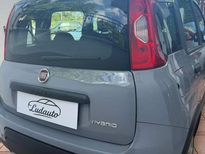 Fiat Panda FireFly S&S Hybrid City Life Grigio usata Roma