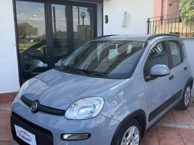 Fiat Panda FireFly S&S Hybrid City Life Grigio usata Roma