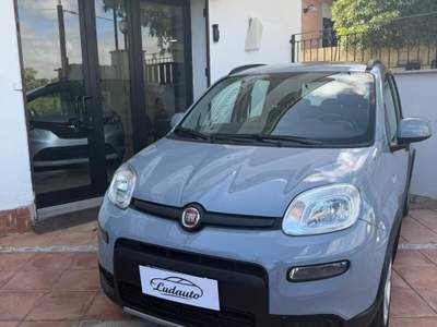 Fiat Panda FireFly S&S Hybrid City Life Grigio usata Roma