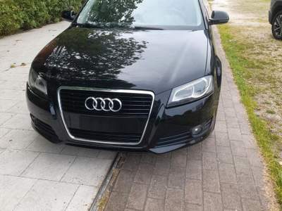 Audi A3 SPB 1.6 TDI 90 CV usata Riccione
