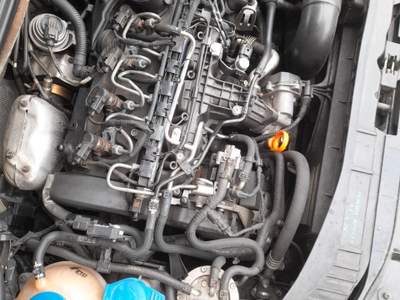 Audi A3 SPB 1.6 TDI 90 CV usata Riccione