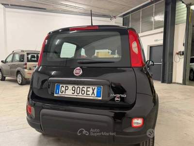 Fiat Panda FireFly S&S Hybrid usata Rovereto