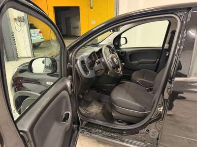 Fiat Panda FireFly S&S Hybrid usata Rovereto