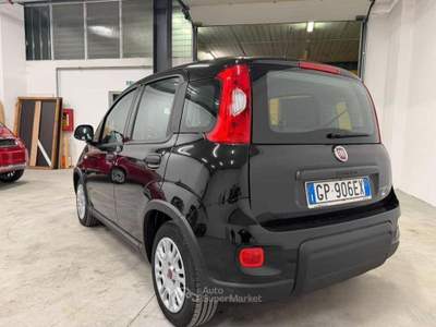 Fiat Panda FireFly S&S Hybrid usata Rovereto