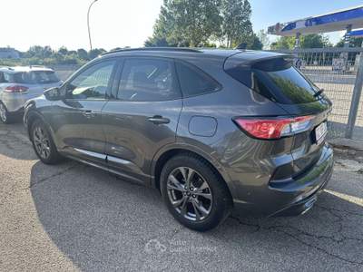 Ford Kuga 1.5 ecoblue ST-Line X 2wd 120cv auto Grigio usata Ravenna
