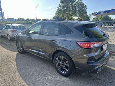 Ford Kuga 1.5 ecoblue ST-Line X 2wd 120cv auto Grigio usata Ravenna