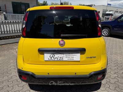 Fiat Panda FireFly S&S Hybrid Pandina Giallo usata Mercato Saraceno