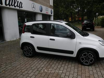 Fiat Panda HYBRID - NOLEGGIO Bianco usata Campobasso