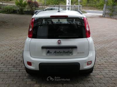 Fiat Panda HYBRID - NOLEGGIO Bianco usata Campobasso