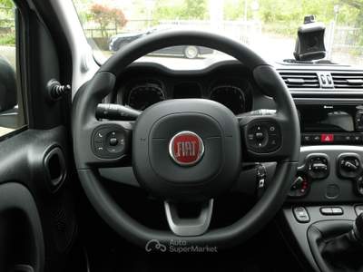 Fiat Panda HYBRID - NOLEGGIO Bianco usata Campobasso
