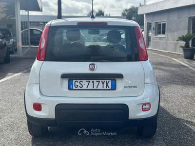 Fiat Panda 1.0 FireFly S&S Hybrid Bianco usata Pignataro Maggiore