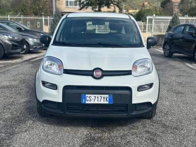 Fiat Panda 1.0 FireFly S&S Hybrid Bianco usata Pignataro Maggiore