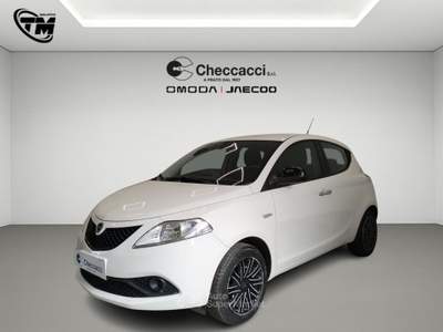 Lancia Ypsilon Ypsilon 1.2 69 CV 5 porte S&S Gold Bianco usata Prato