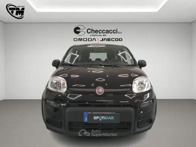 Fiat Panda Panda 1.0 FireFly S&S Hybrid Nero usata Prato
