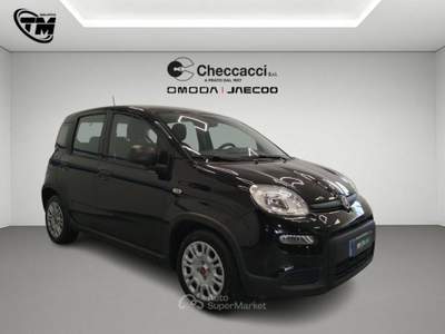 Fiat Panda Panda 1.0 FireFly S&S Hybrid Nero usata Prato