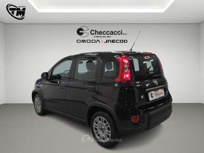 Fiat Panda Panda 1.0 FireFly S&S Hybrid Nero usata Prato