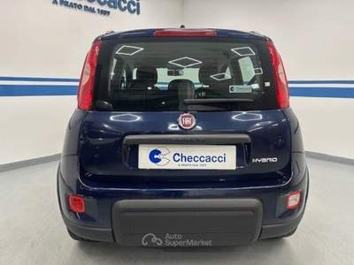 Fiat Panda Panda 1.0 FireFly S&S Hybrid City Life usata Prato