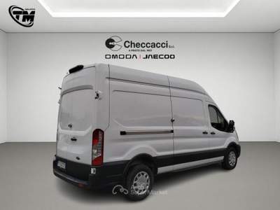Ford Transit Transit 350 2.0TDCi EcoBlue 170CV PL-TM Furgone Trend Bianco usata Prato
