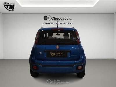 Fiat Panda Panda Cross 1.0 FireFly S&S Hybrid Blu/Azzurro usata Prato