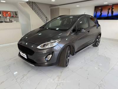 Ford Fiesta 1.0 Ecoboost Hybrid 125 CV 5 porte Active Grigio usata MASSAFRA