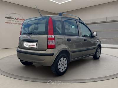 Fiat Panda Fiat panda 1.2 – emotion Oro usata Roma