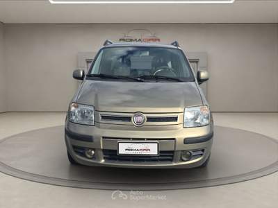 Fiat Panda Fiat panda 1.2 – emotion Oro usata Roma