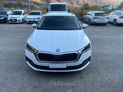 Skoda Octavia SCOUT 4X4 Bianco usata Ala