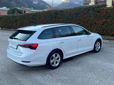 Skoda Octavia SCOUT 4X4 Bianco usata Ala