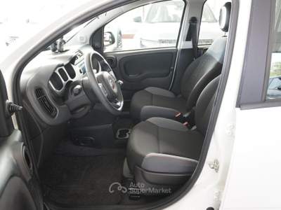 Fiat Panda 1.2 EasyPower Easy Bianco usata San Vito dei Normanni