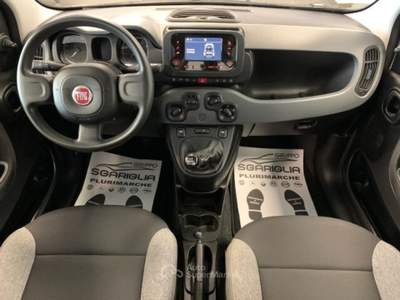 Fiat Panda Benzina Hybrid City Life Grigio usata Qualiano