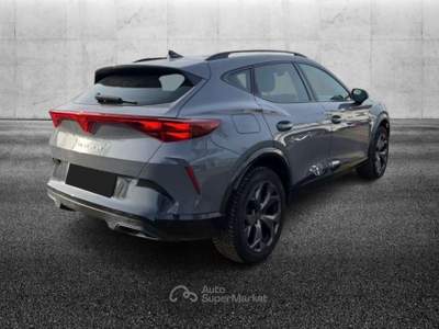Cupra Formentor 2.0 TDI DSG Grigio usata Pieve di Cento