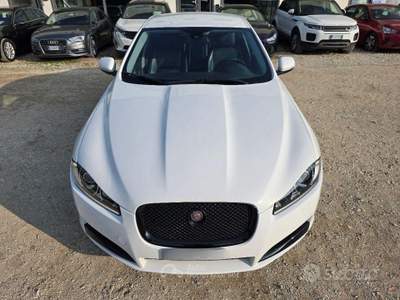 Jaguar XF 2.2 DIESEL 190CV GARANZIA 12 MESI usata Sassofeltrio