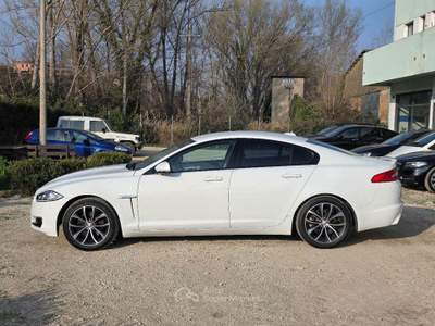 Jaguar XF 2.2 DIESEL 190CV GARANZIA 12 MESI usata Sassofeltrio