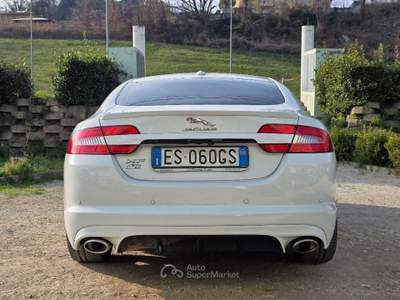 Jaguar XF 2.2 DIESEL 190CV GARANZIA 12 MESI usata Sassofeltrio