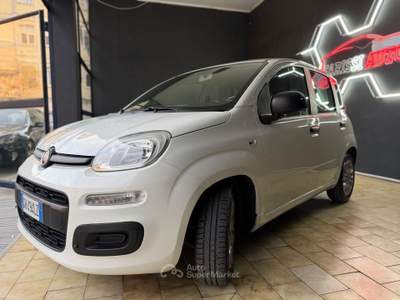 Fiat Panda Fiat panda euro 6 Beige usata Telgate