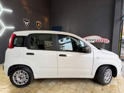 Fiat Panda Fiat panda euro 6 Beige usata Telgate