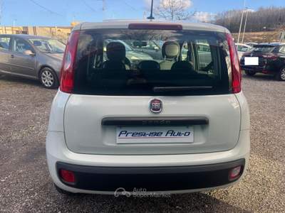 Fiat Panda BENZINA EASY 5 POSTI UNICO PROPRIETARIO Bianco usata Isernia