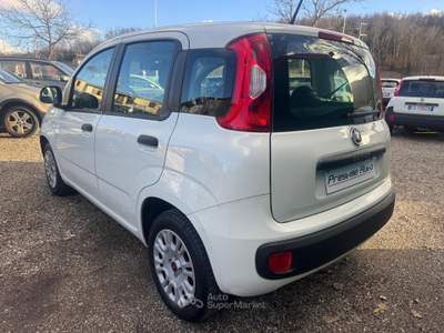 Fiat Panda BENZINA EASY 5 POSTI UNICO PROPRIETARIO Bianco usata Isernia