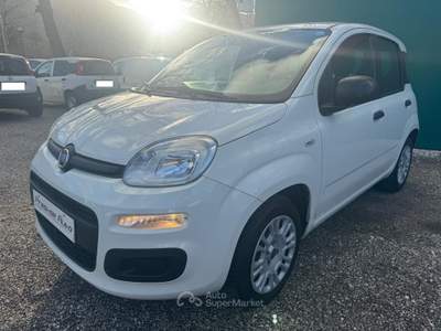 Fiat Panda BENZINA EASY 5 POSTI UNICO PROPRIETARIO Bianco usata Isernia