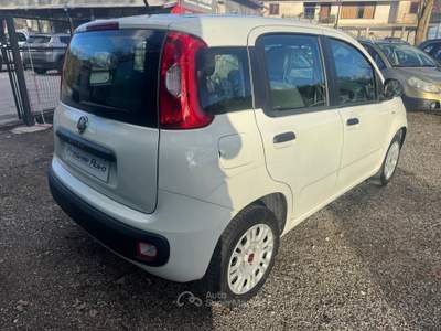 Fiat Panda BENZINA EASY 5 POSTI UNICO PROPRIETARIO Bianco usata Isernia