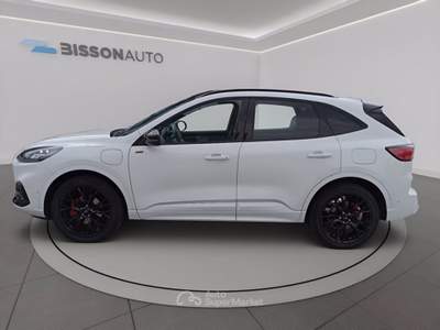 Ford Kuga 2.5 phev st-line x 2wd 225cv cvt Grigio usata Grumolo delle Abbadesse