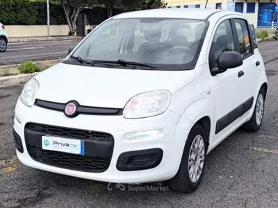 Fiat Panda FIAT Panda 1.2 Easy Bianco usata Aprilia